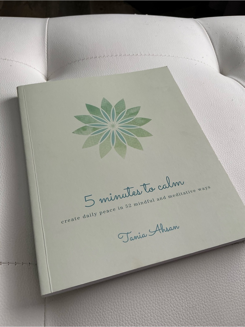 5 Minutes to Calm Book - Light Sage Green Cover